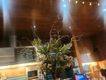 고잔동에서 만나는 특별한 미식 경험, “키테이”: 안산 이자카야 맛집 탐방기