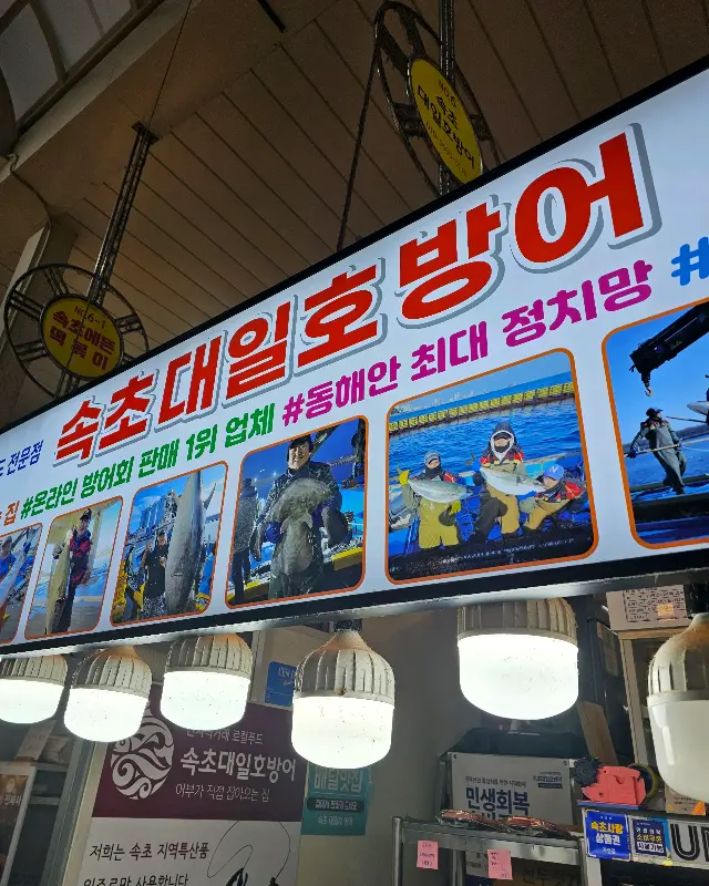 속초대일호방어 외부