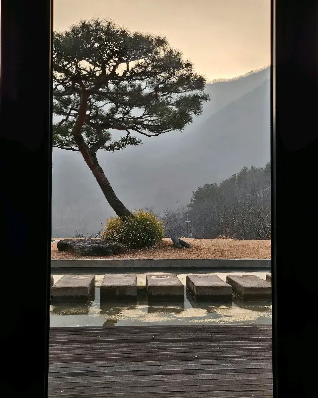 두베카페 창밖 풍경