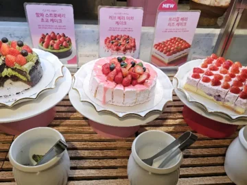 도심 속 미식 오아시스, 제일제당센터에서 만나는 특별한 빕스 맛집 경험