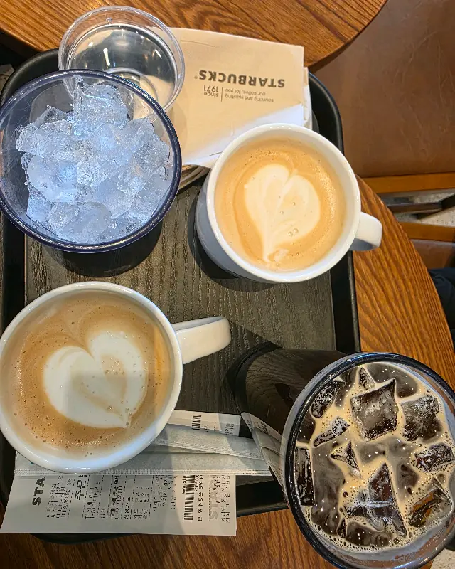 스타벅스 음료 여러 잔