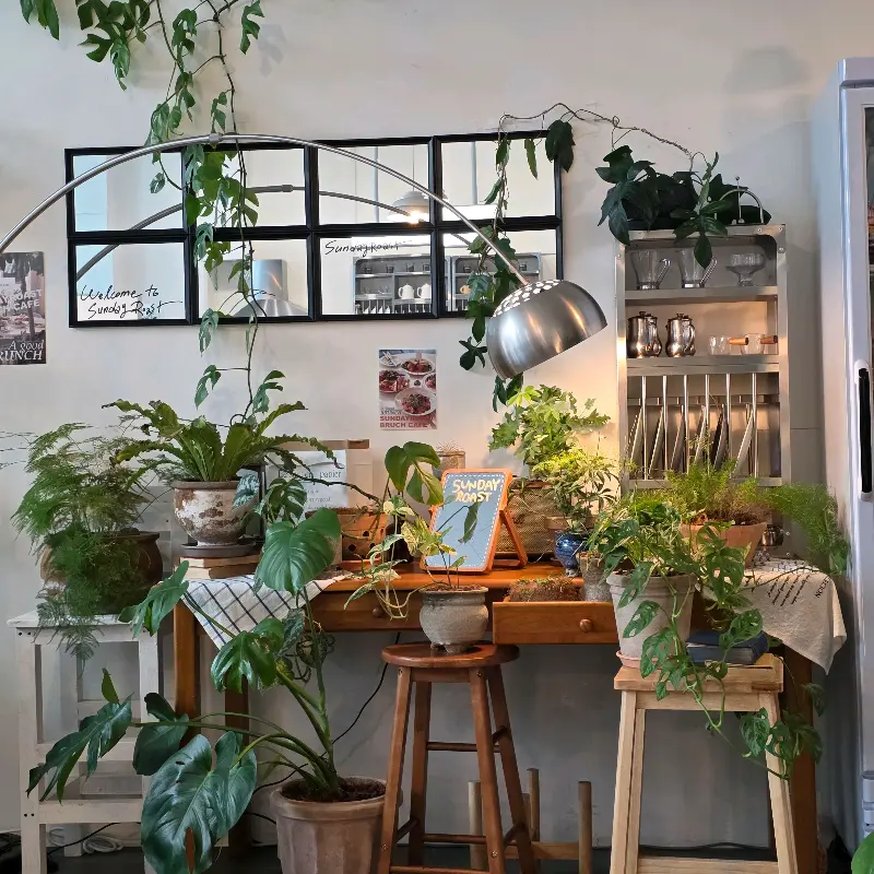다양한 식물로 꾸며진 매장 내부