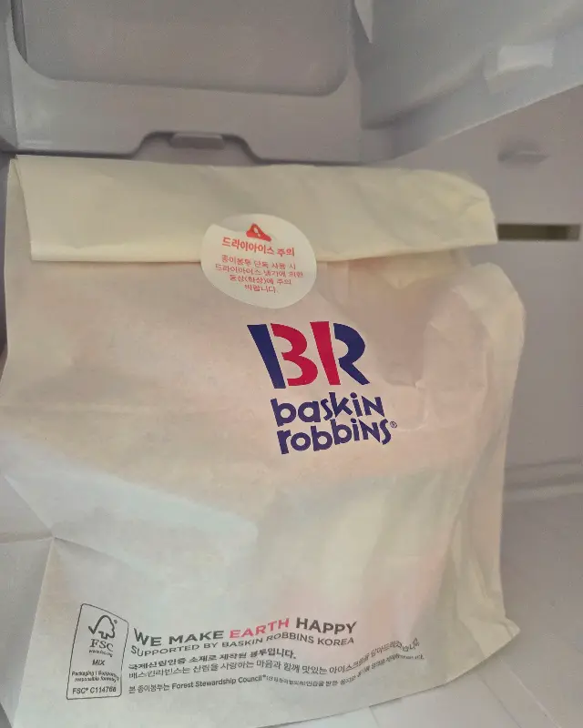 포장해 온 아이스크림