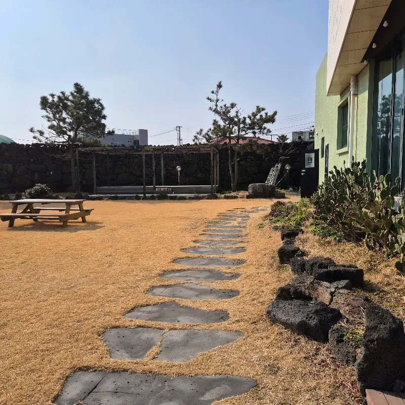 너트라떼와 제주청귤차