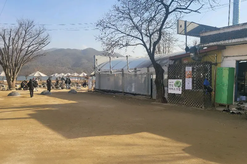 두물머리 연핫도그 주변 풍경