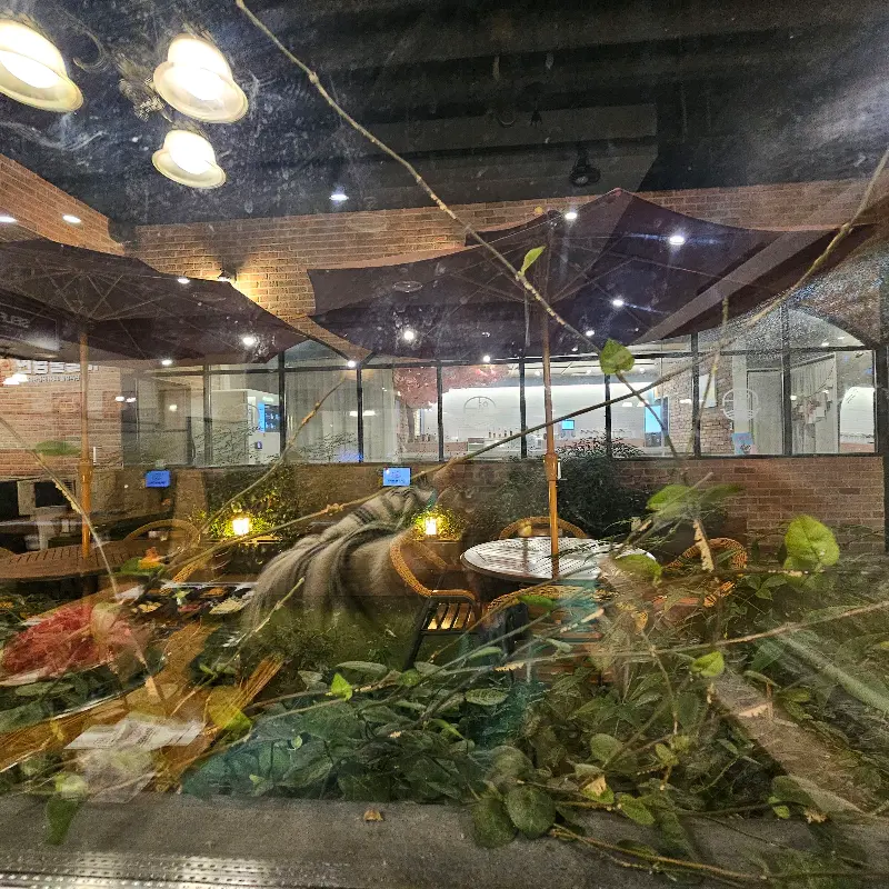 매장 내부 인테리어