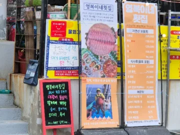 고성에서 만난 인생 맛집, 영복이네 횟집! 여기가 진짜 바다 현지인 맛집이네