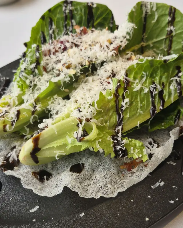 싱그러운 샐러드의 모습