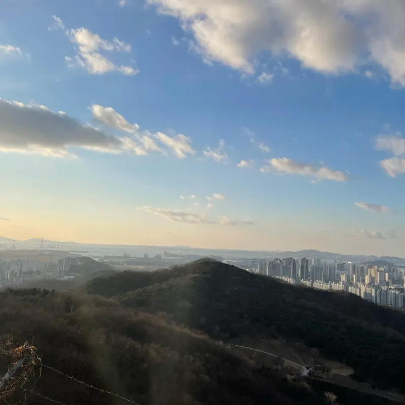 탁 트인 시티 뷰