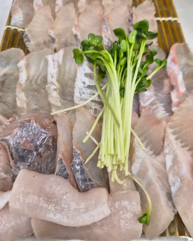 광어, 우럭, 도다리 모듬회