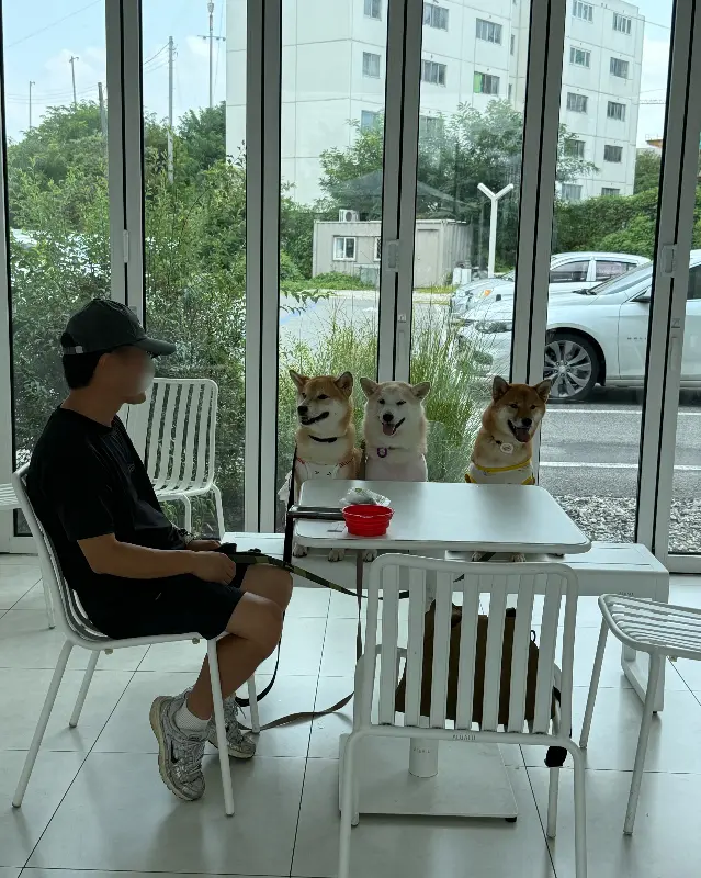 넓은 공간과 테이블 간 간격