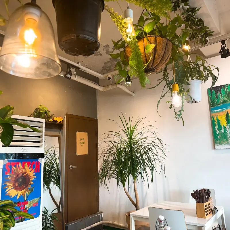 스테이크 덮밥과 된장찌개 정식