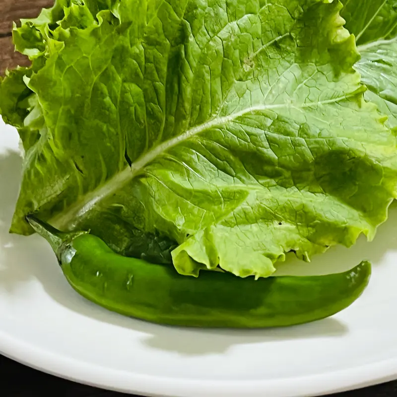 싱싱한 쌈 채소