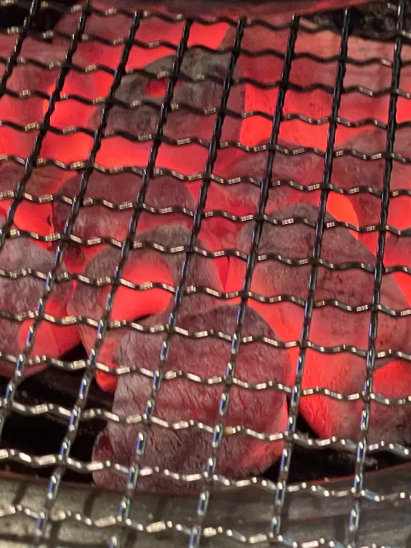 강렬한 숯불의 모습