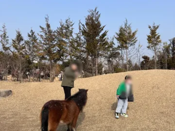 아이와 함께 떠나는 상주 여행, 파머스룸에서 만나는 특별한 추억과 맛있는 커피 한 잔의 여유