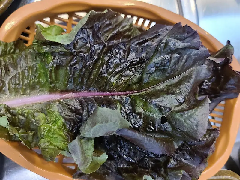 신선한 쌈 채소