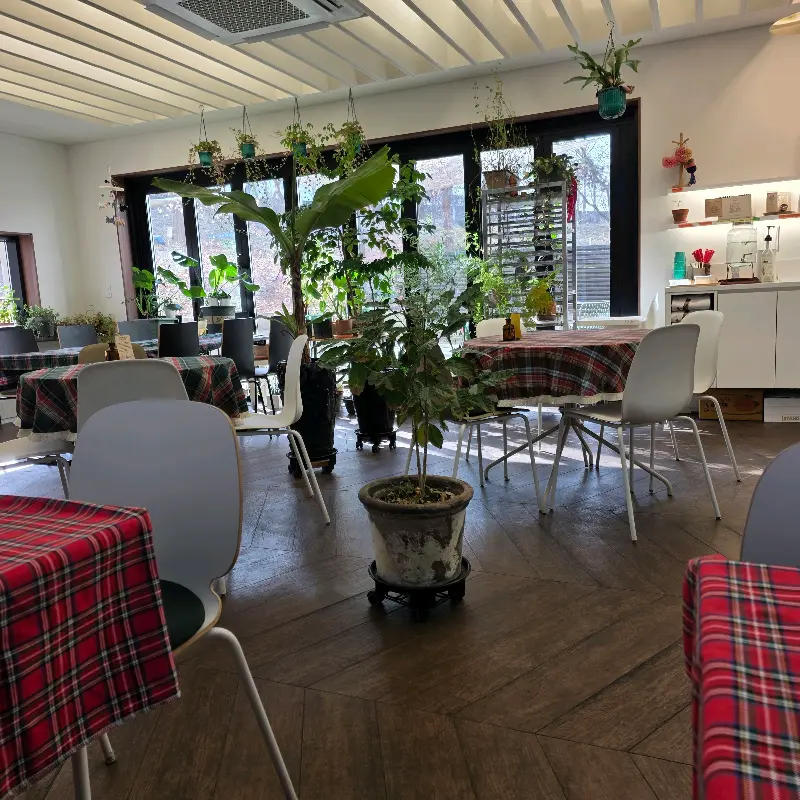 카페 내부 전경