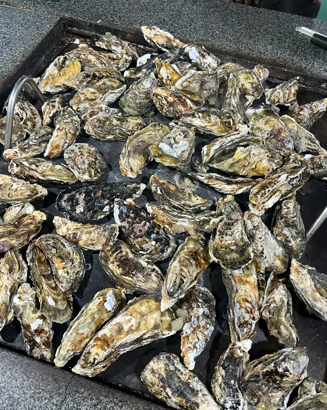 굴구이 클로즈업 샷