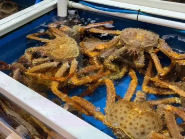 차가운 겨울, 뜨거운 추억으로 녹이다: 마산 둥지횟집에서 만난 감동의 물회 맛집