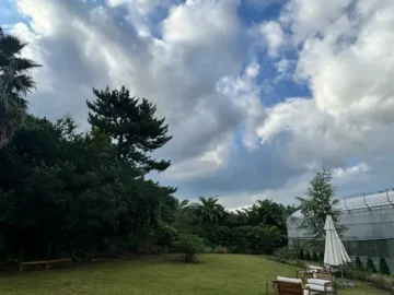 푸릇한 식물 속 아늑한 휴식, 제주 가이아띠어리에서 만나는 인생샷과 힐링 맛집