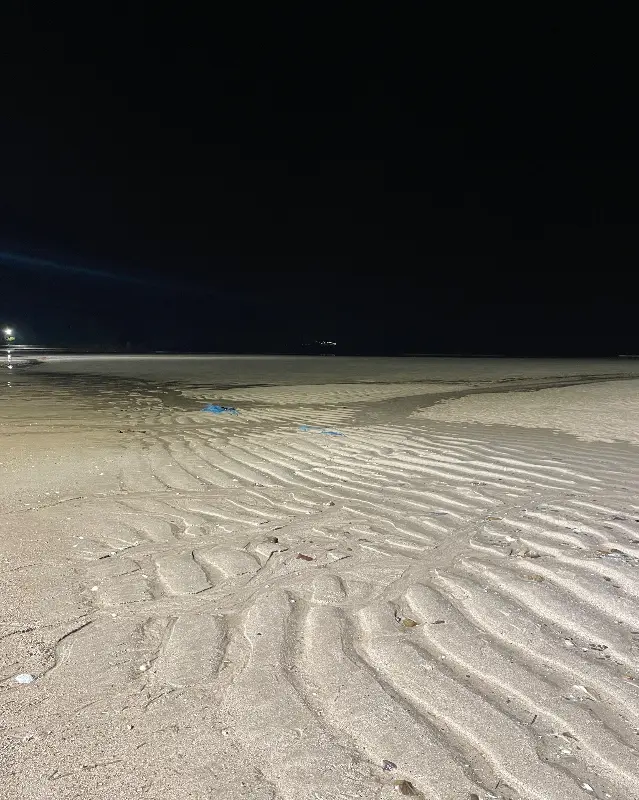 대천해수욕장 밤 풍경