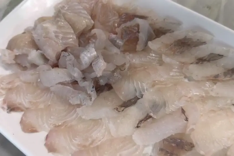 신선한 도다리회