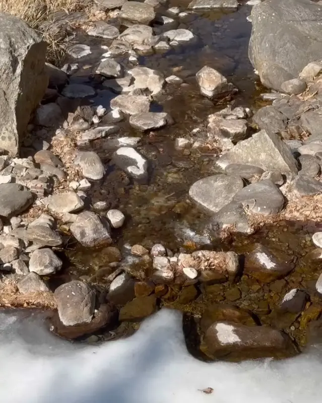 얼어붙은 계곡의 모습