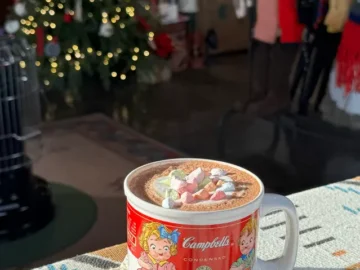 고양이와 와인이 있는 아산 감성 브런치 맛집, 소로로에서 찾은 힐링