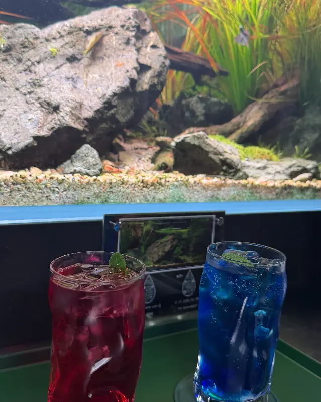 음료와 수조