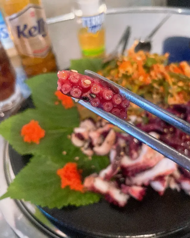 돌문어 숙회 한 점