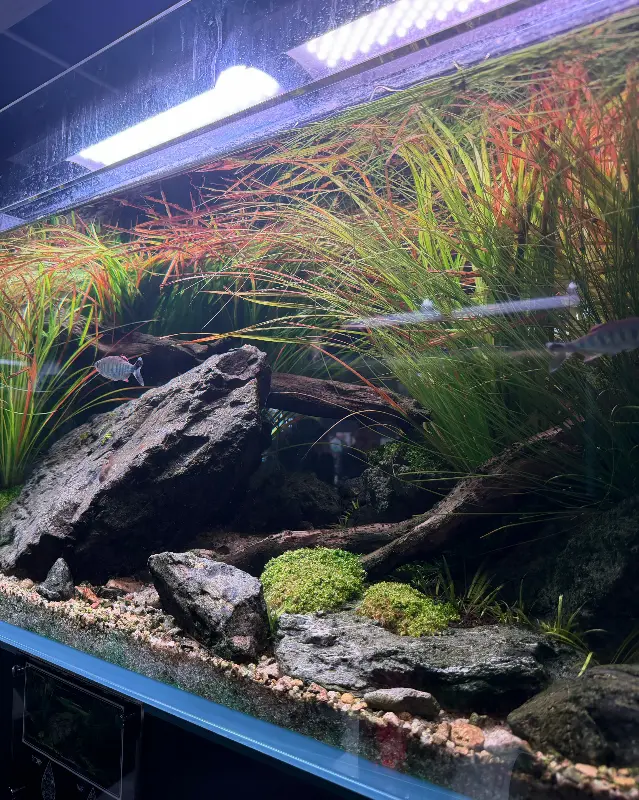 테이블 옆에 배치된 큰 수조