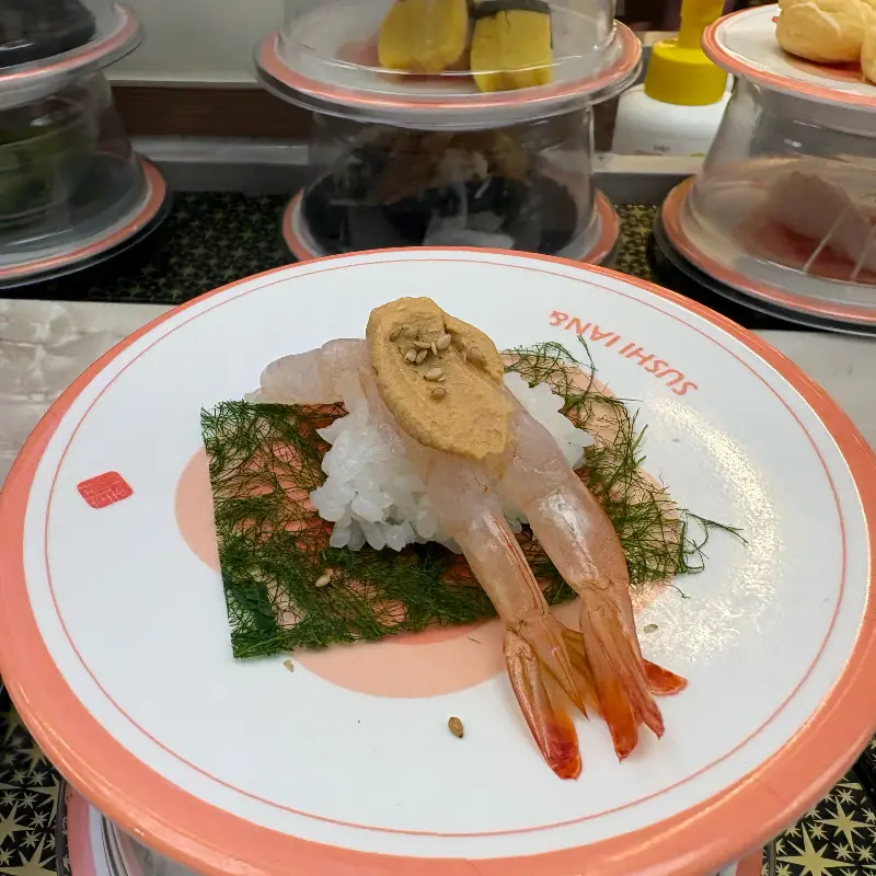 윤기가 흐르는 연어초밥의 클로즈업