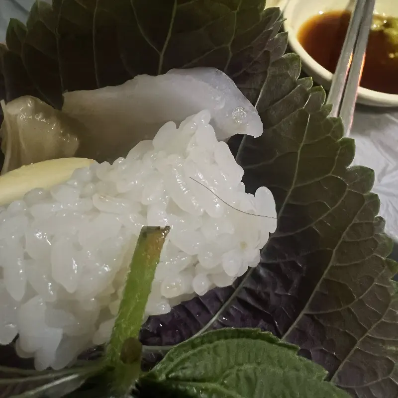 싱싱한 횟감과 초밥의 만남