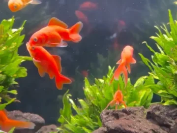 대전 중구, 물멍하다 시간 순삭! 이색적인 비워터에서 인생샷 건진 후기 맛집