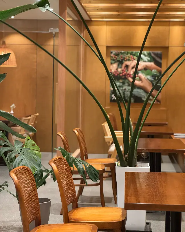 카페 내부 인테리어. 식물들이 놓여있고, 테이블과 의자가 보인다.