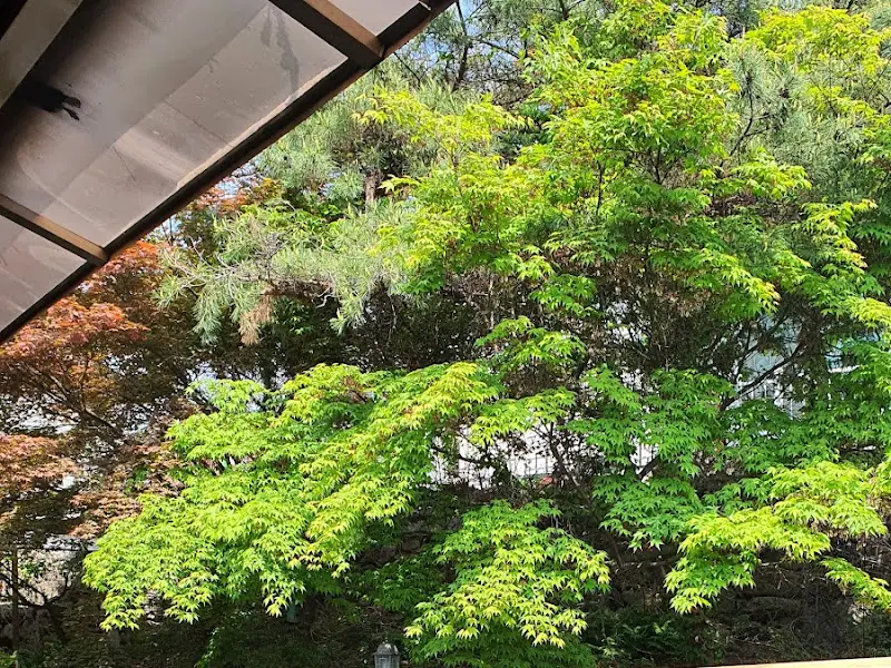 부용원 카페 야외 테라스