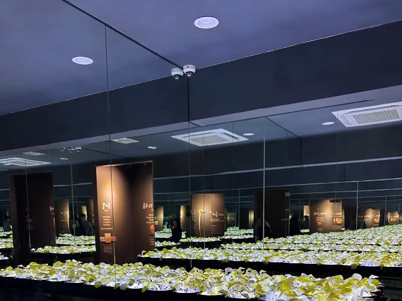 오징어 튀김 한 접시