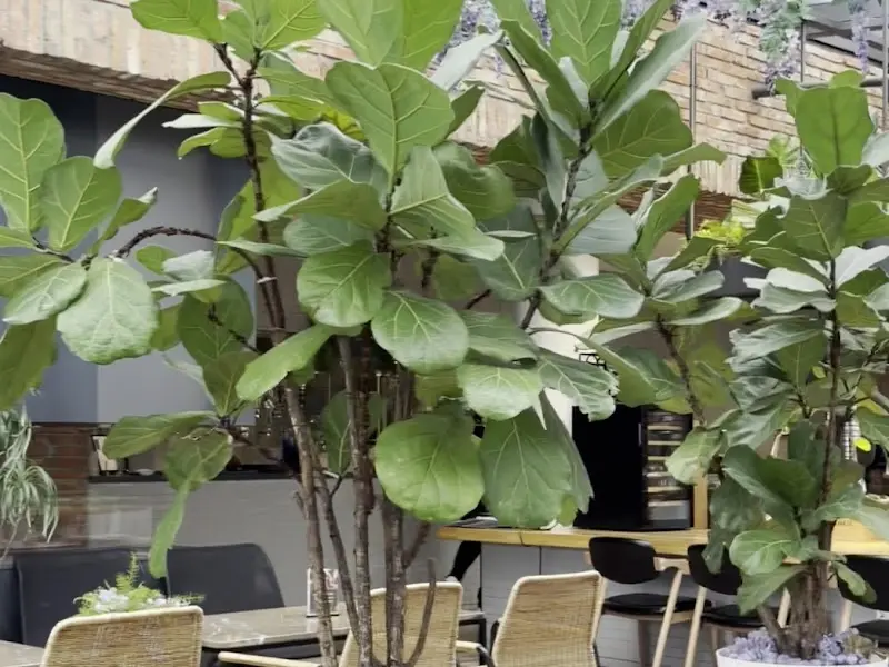 테이블 옆에 놓인 화분