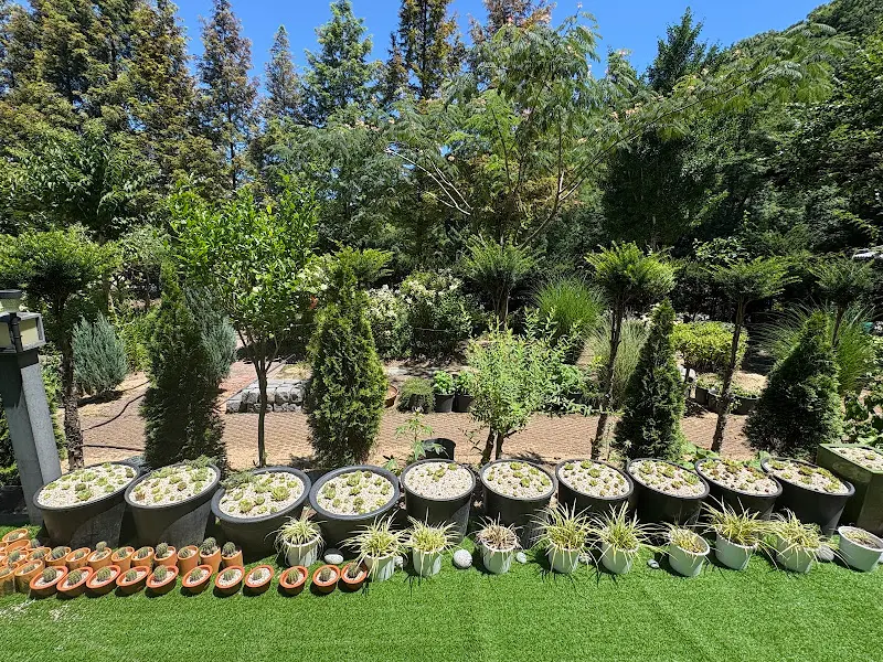 레스토랑 외부 정원