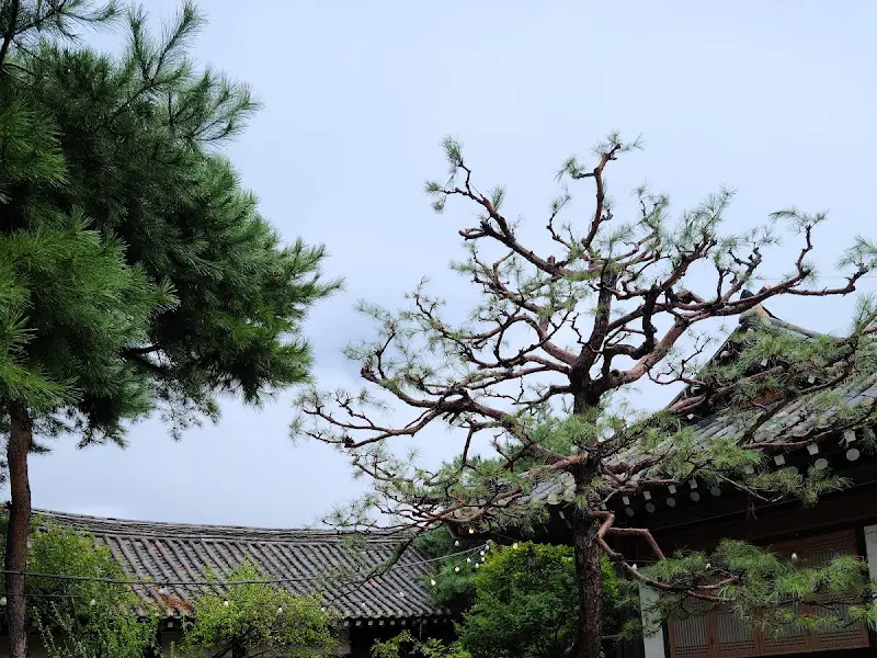 부용원 카페 건물 외관