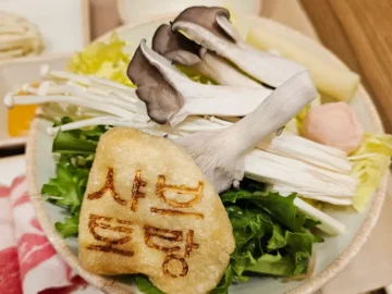 류수영도 반한 장안동 샤브샤브, 혼밥 최적화된 가성비 맛집 실험 후기