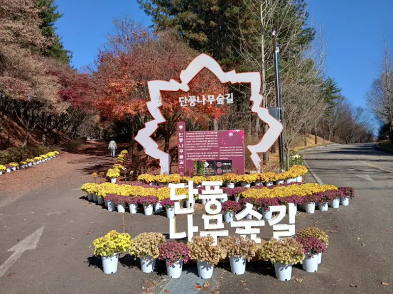 독립기념관 단풍나무 숲길 입구 표지석 사진