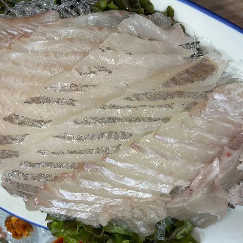 신선한 광어회