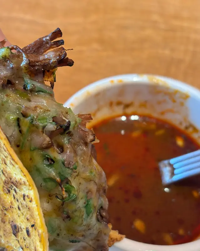 콘소메 소스에 찍은 타코