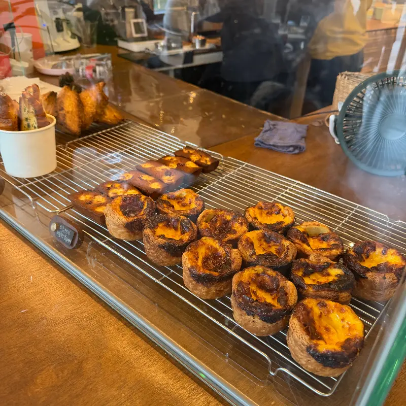 쇼케이스 안의 에그타르트