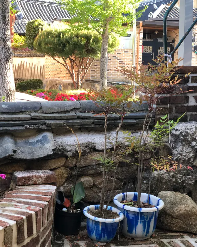 주복의 외부 정원