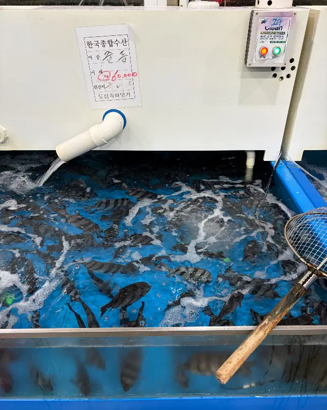 싱싱한 활어들이 가득한 수조