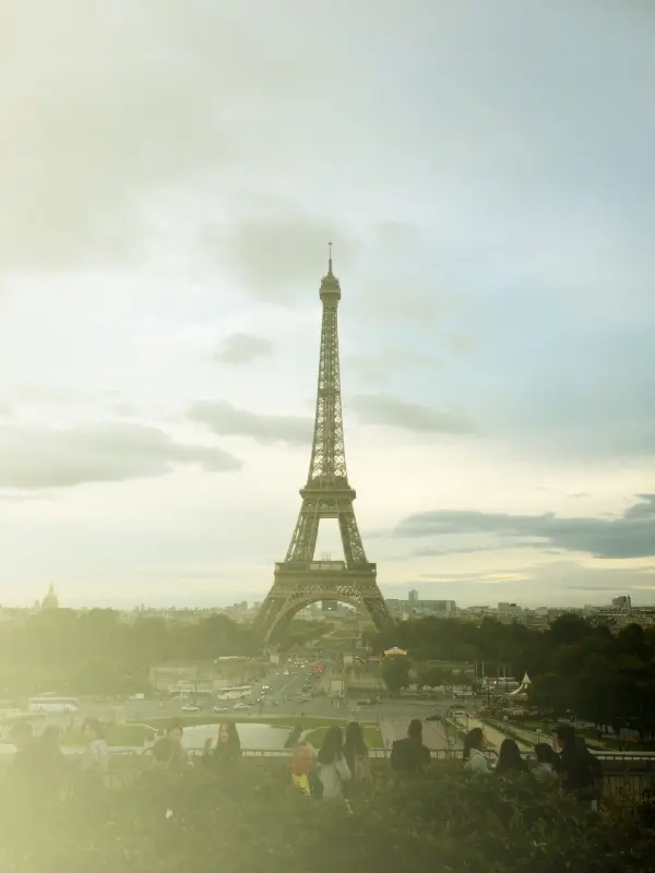 까치네 감자튀김