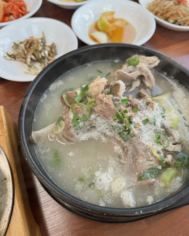 후식으로 제공되는 제주 귤