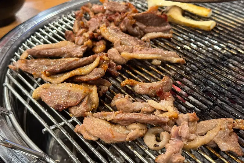 잘 구워진 오리고기의 클로즈업